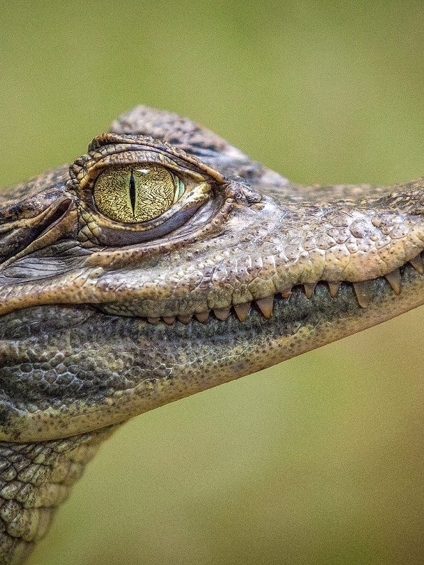 Vertel me een verhaaltje