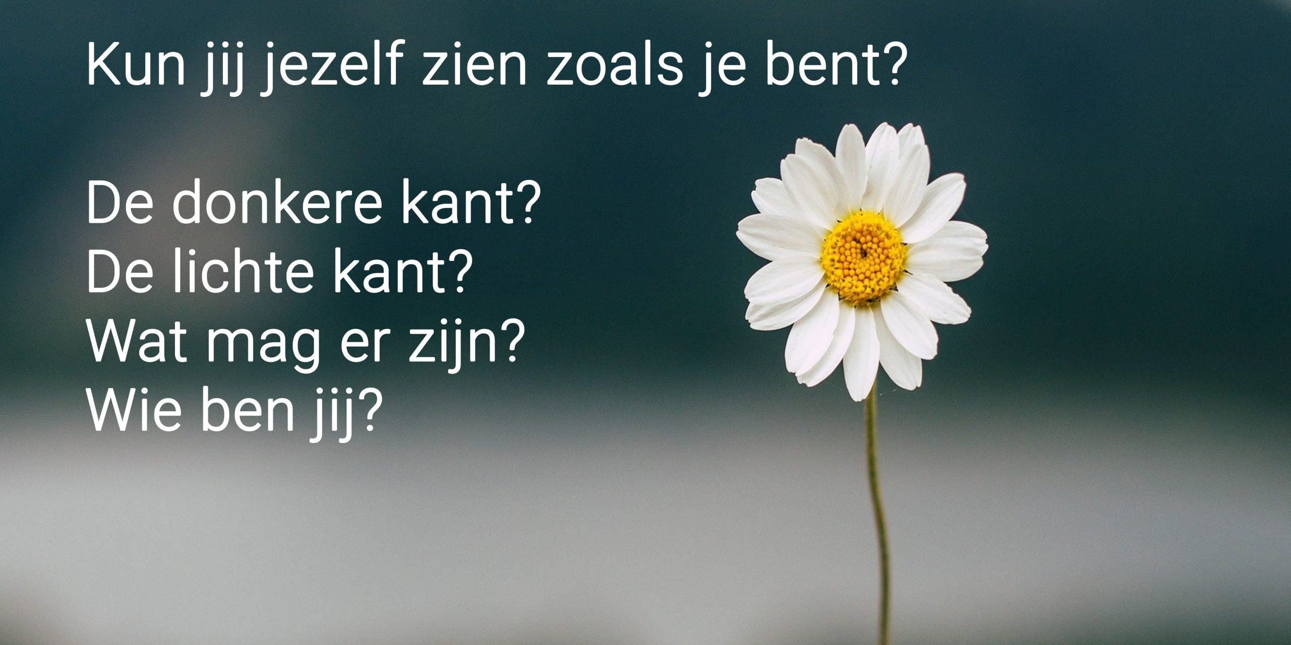 Bewustzijn