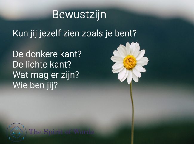 Bewustzijn